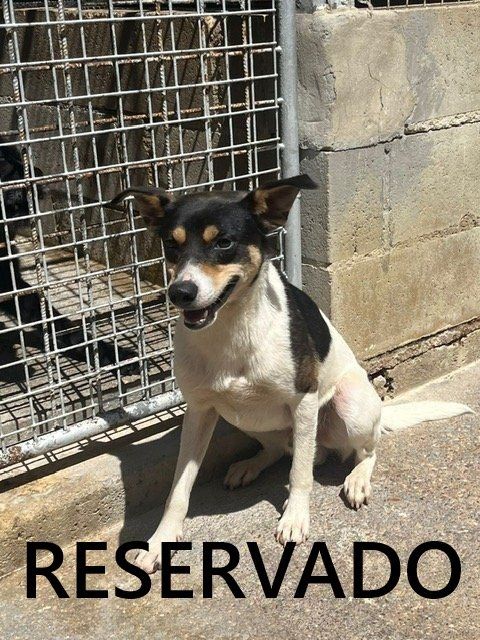 astorga