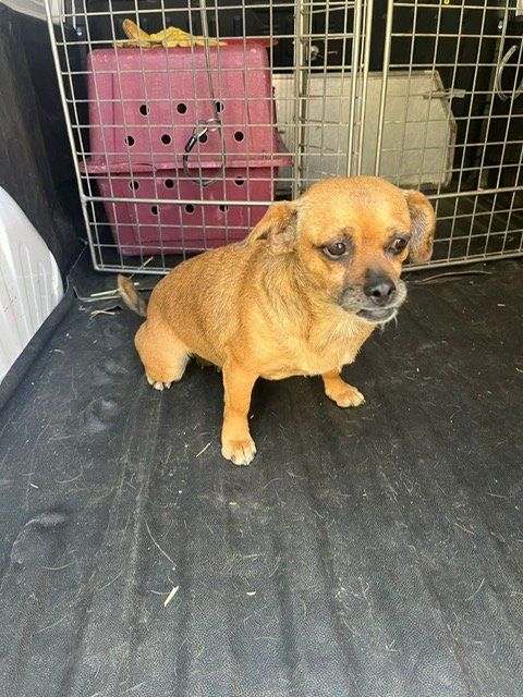 PHOTO 2024 08 21 13 29 57