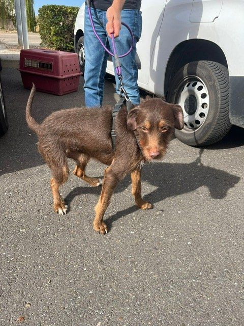 4ef8d7c3 339d 4dae 82f8 9dc7dd437c40