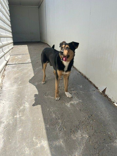 PHOTO 2025 07 16 10 42 56