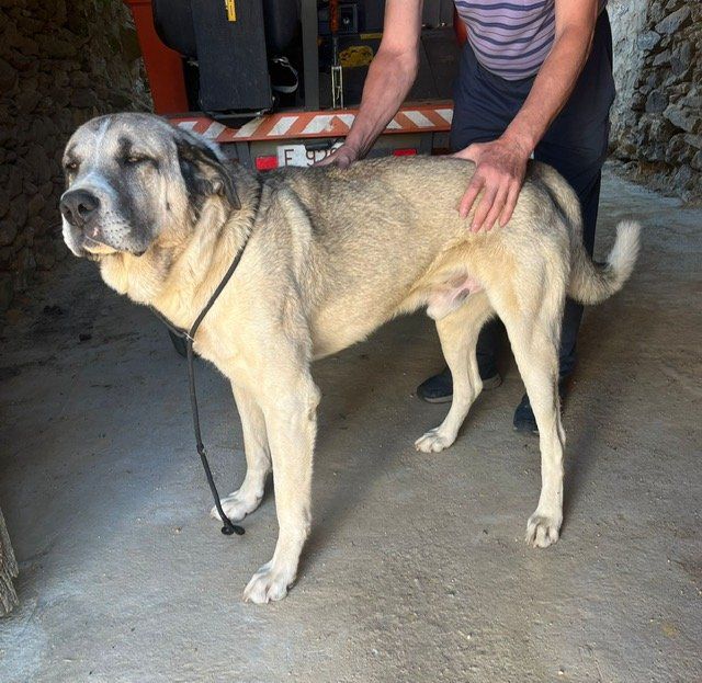 PHOTO 2025 07 22 10 42 56