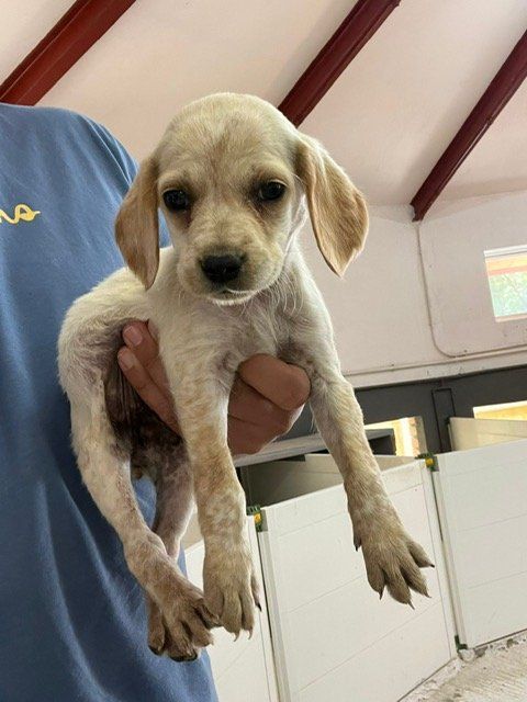 photo 2025 09 29 13 33 11