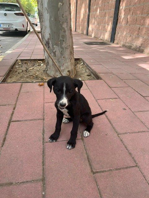 PHOTO 2025 09 13 11 35 29