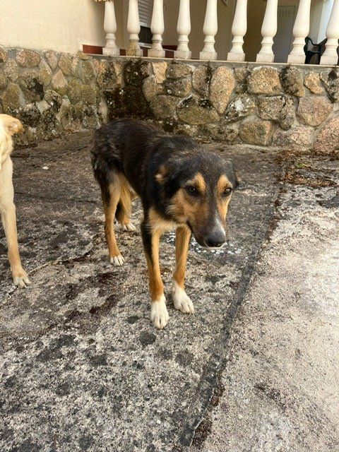 PHOTO 2025 06 23 12 14 55