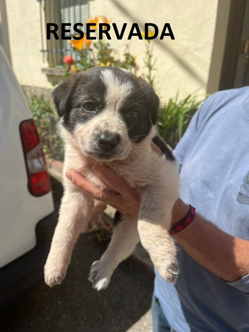 photo 2024 07 12 12 35 35