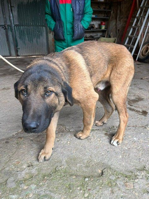 PHOTO 2025 03 05 10 38 17