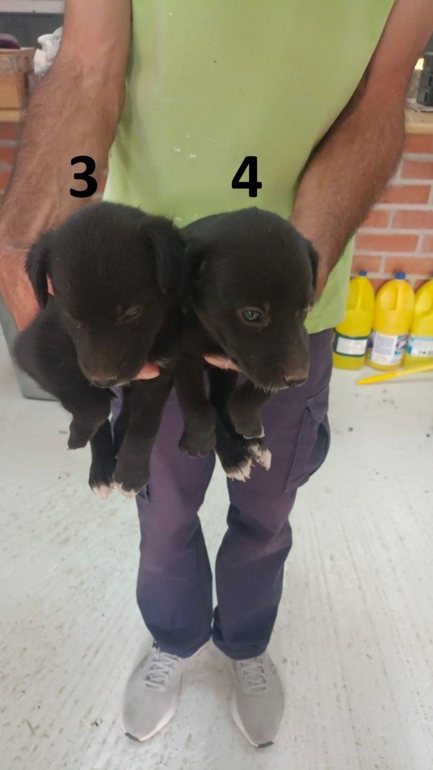 photo 2025 08 18 13 49 28