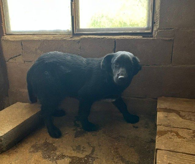PHOTO 2023 05 12 17 10 29