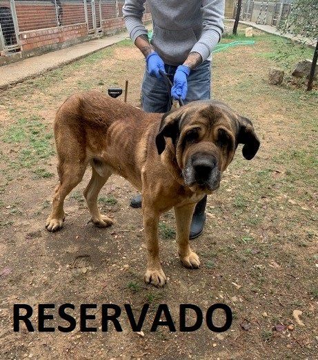 Valverde de la Virgen (LEON)