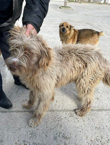 PHOTO 2023 02 28 12 17 45