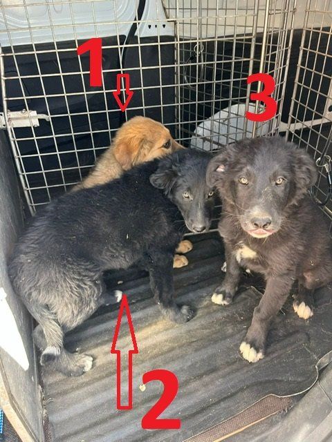 PHOTO 2024 06 15 11 50 54