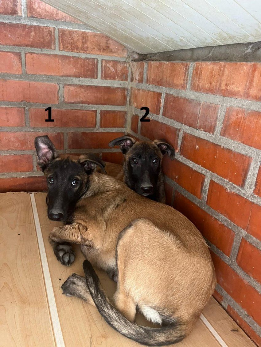 PHOTO 2025 09 23 13 55 43