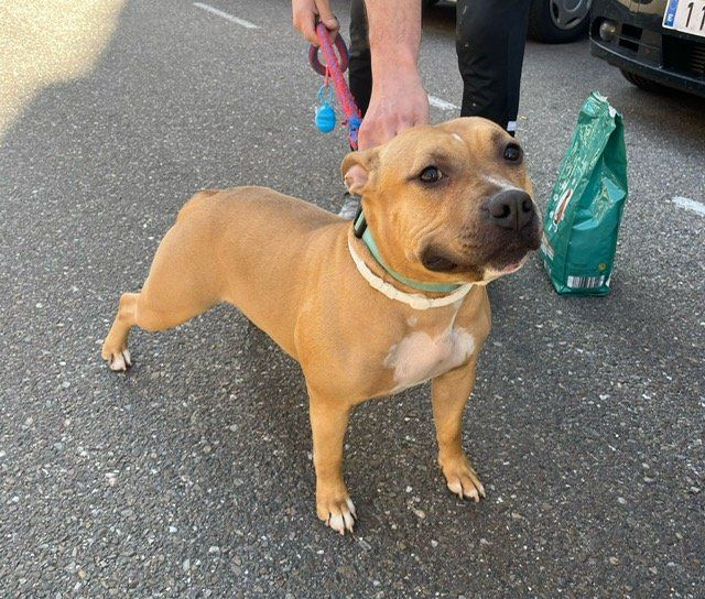 PHOTO 2025 04 09 17 55 46