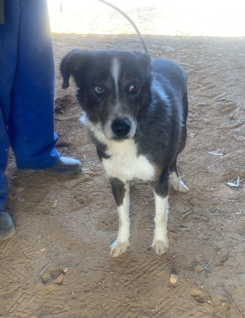 PHOTO 2024 05 07 13 02 40