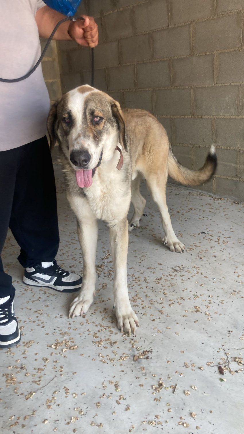 356d6ab6 40fe 44eb b701 73a43ce0822d