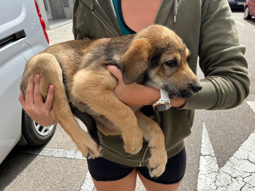 PHOTO 2022 09 15 13 51 48