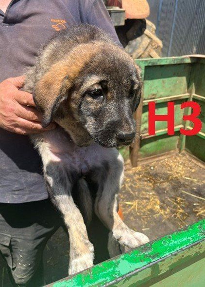 photo 2024 06 27 13 48 19