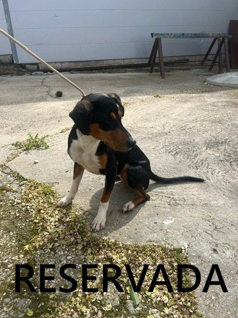 photo 2025 04 21 12 20 28