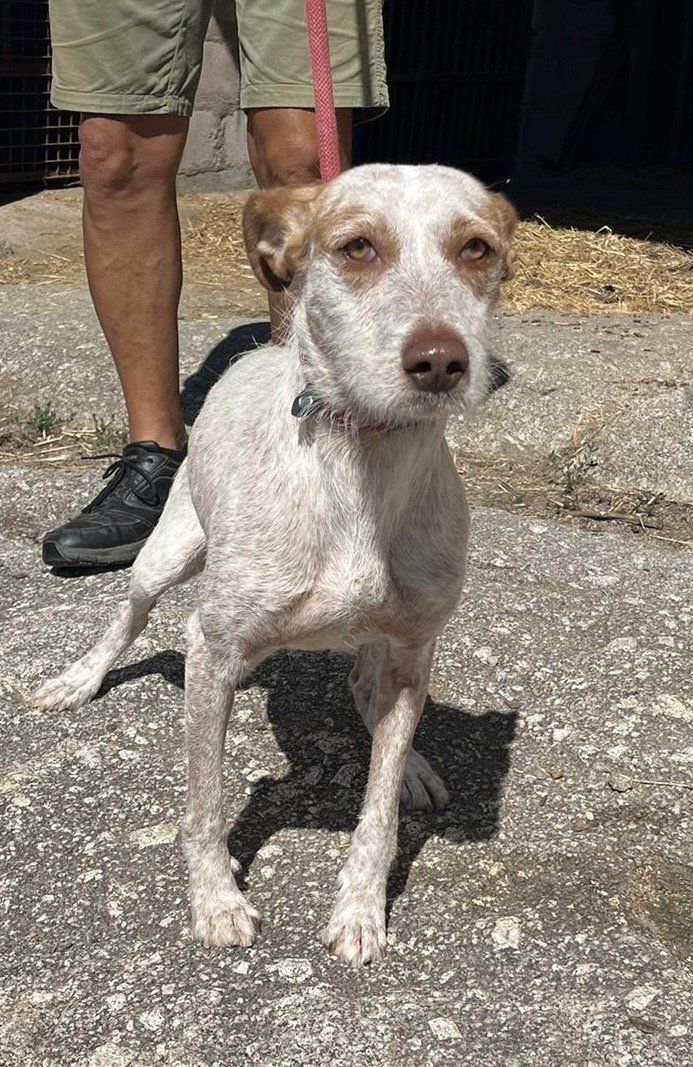 ee389ea5 ef8b 490b 9946 5c79f43ee110