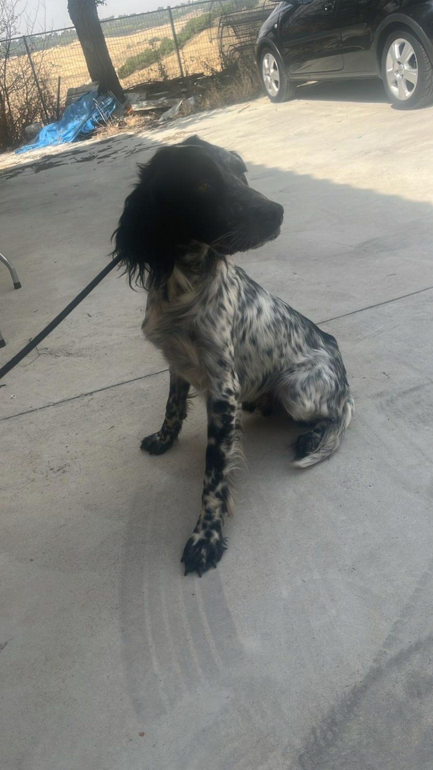 photo 2025 08 27 12 41 50