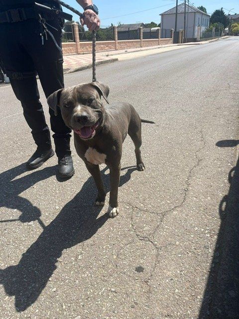 2f0597a4 ddcb 446b 97c0 f944ad03d7b0