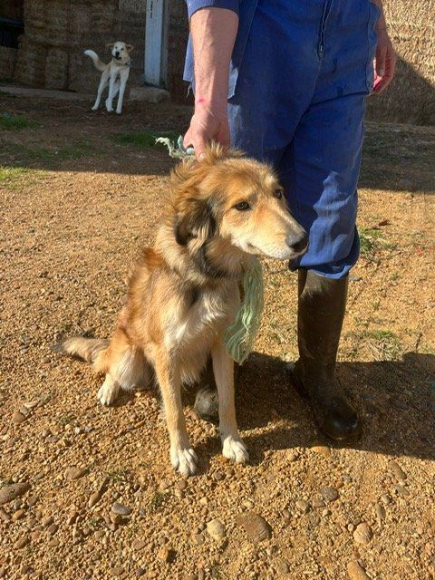 PHOTO 2024 11 28 13 16 03