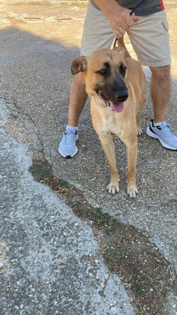 PHOTO 2025 07 08 11 04 35