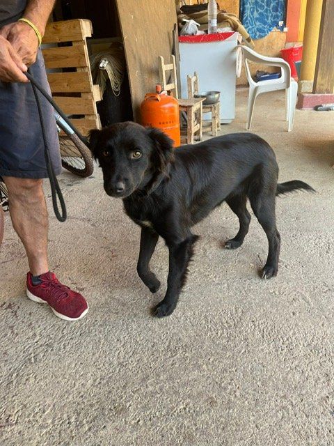 PHOTO 2024 08 20 12 31 24