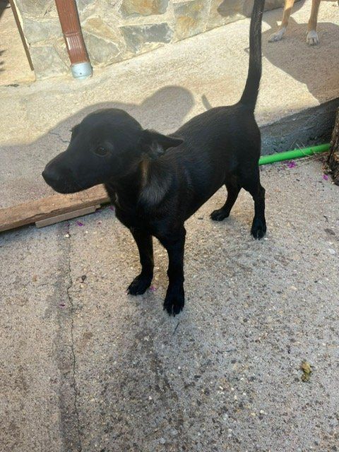 PHOTO 2025 08 20 10 53 07