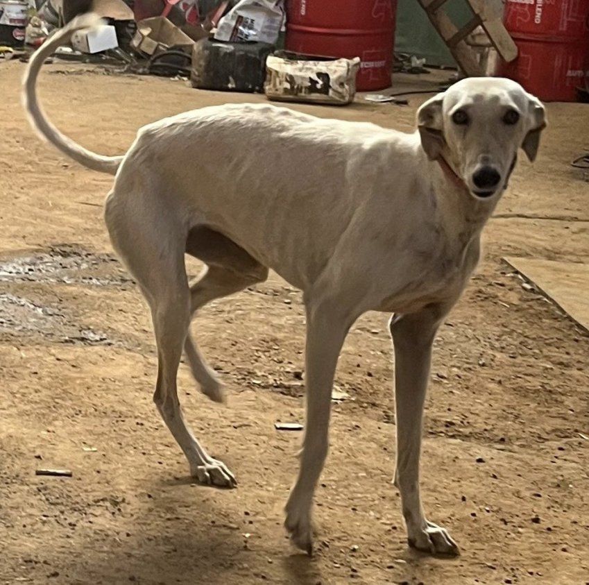 c717da91 6f48 4c90 ade0 5805917c7186