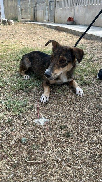 PHOTO 2025 08 25 12 46 44