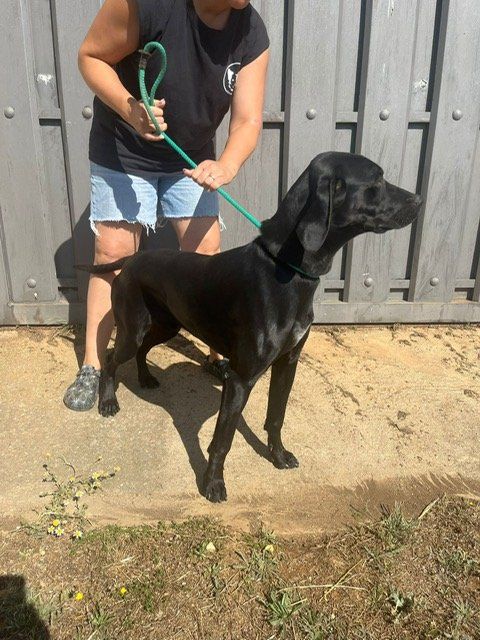 f17dc4c3 53b2 4703 afda c8f16e626115