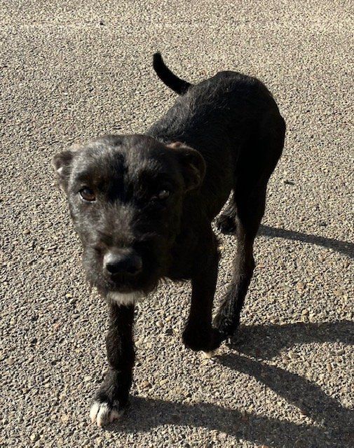 11747a64 a07d 447d abbc 41ee8ca72a54