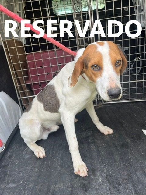 photo 2025 02 18 12 07 55