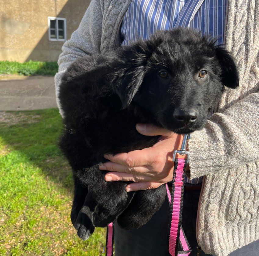 PHOTO 2023 11 16 12 27 05