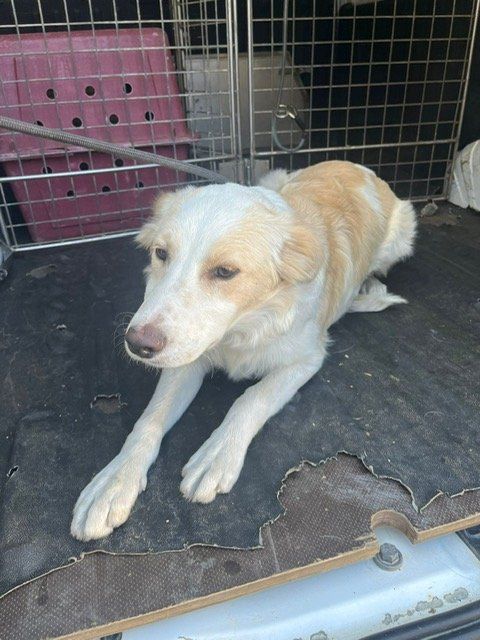 photo 2025 06 25 19 00 33