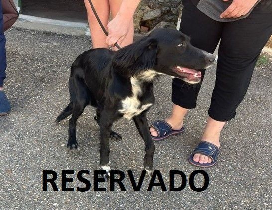 3f464dc98f3b118d2004ca154702efcb422b1531