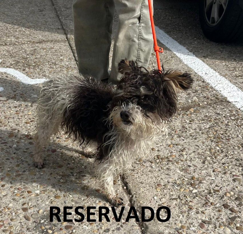 d88b9701 a459 4733 9230 722a97569ba8