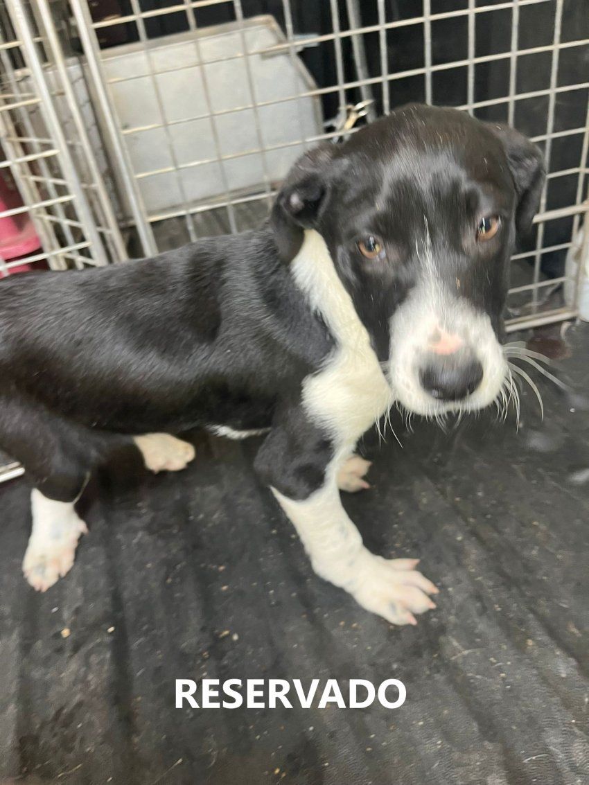 photo 2025 02 18 12 07 25