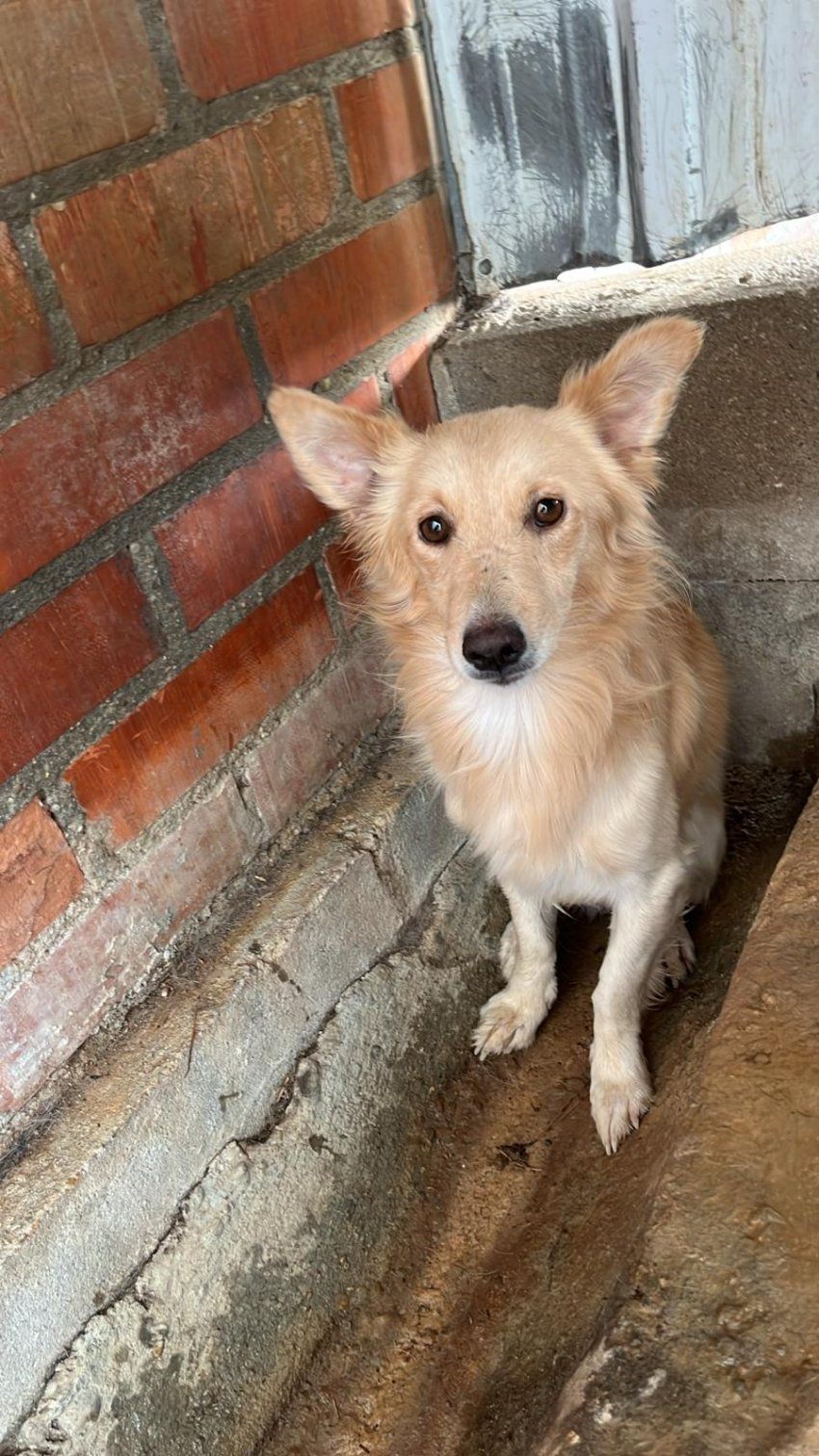 PHOTO 2025 08 25 12 59 44