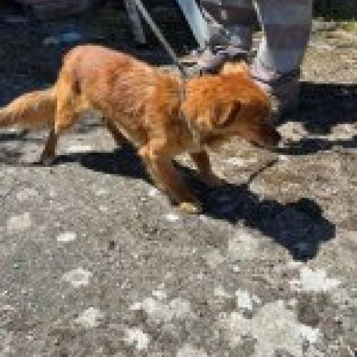 PHOTO 2024 05 10 12 56 53