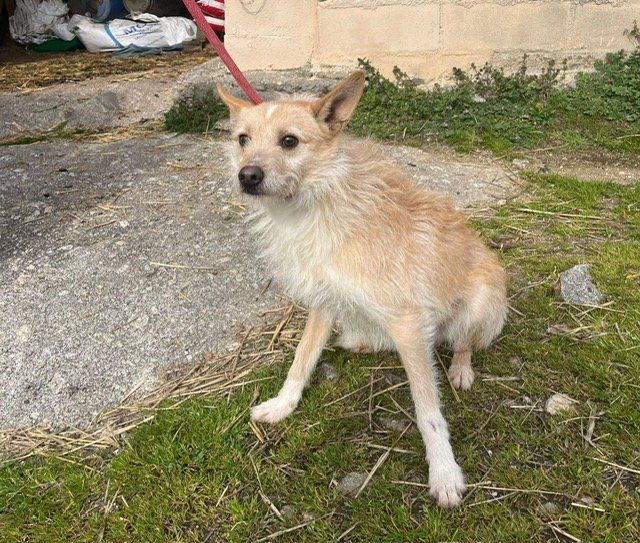 PHOTO 2025 02 18 14 59 33