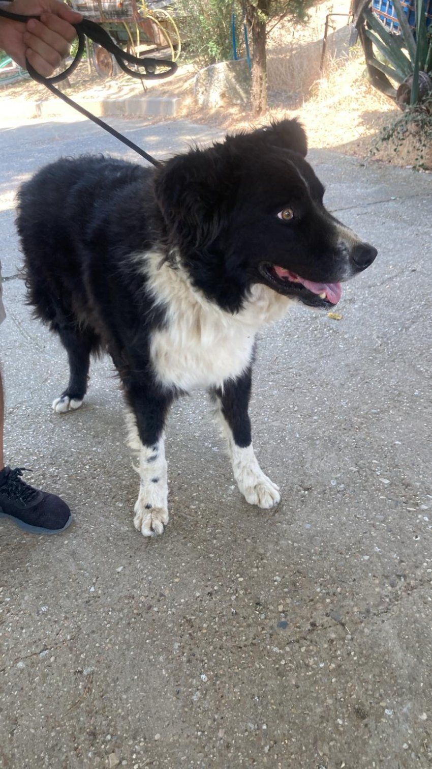 PHOTO 2025 08 05 12 38 26