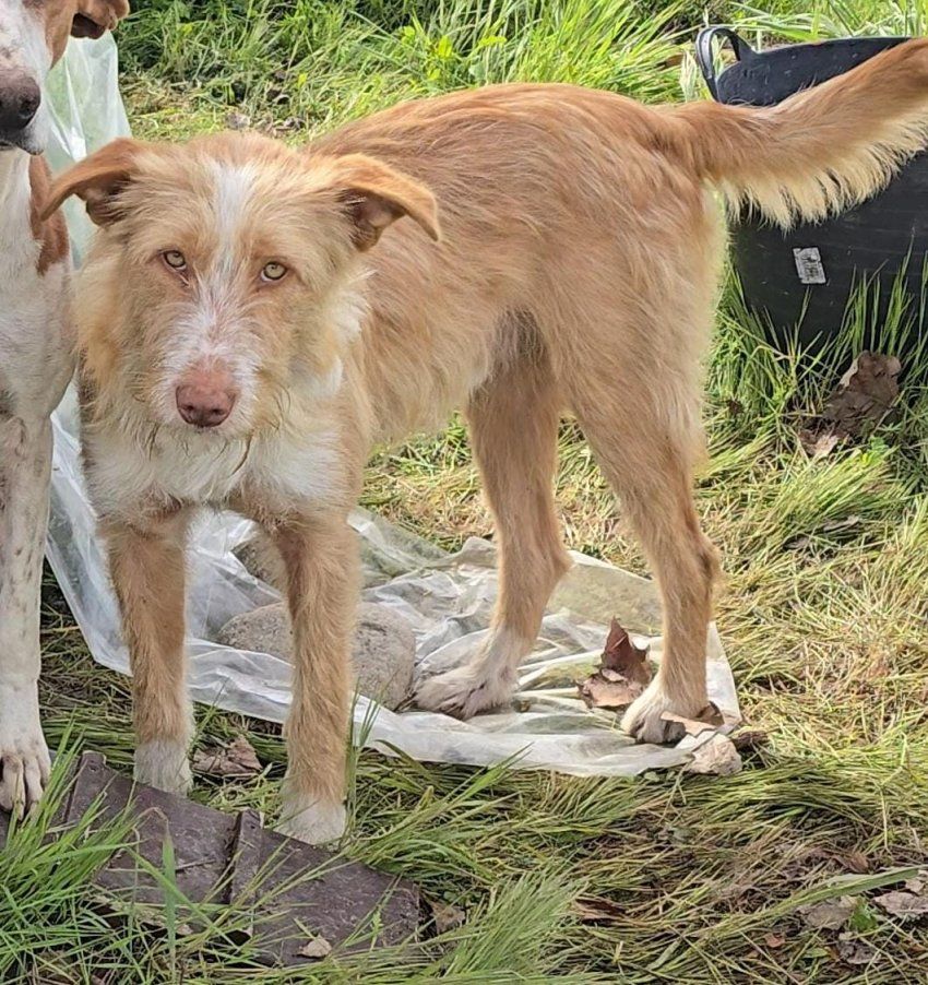 PHOTO 2025 04 22 11 51 26