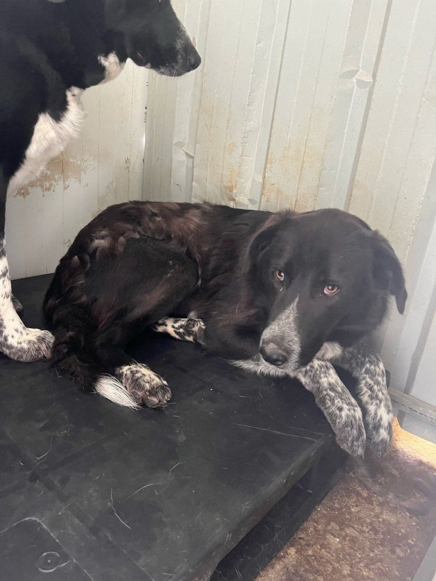 photo 2025 05 14 12 59 33 1