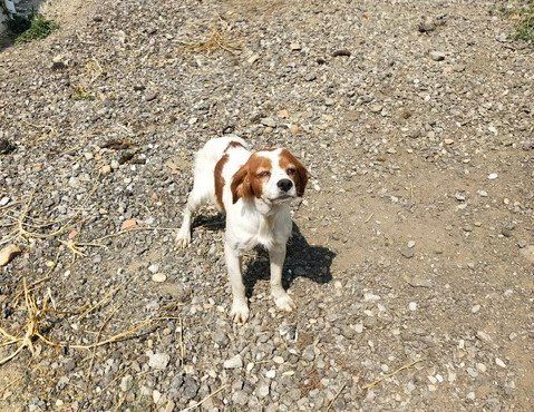 PHOTO 2021 09 13 12 55 46(1)