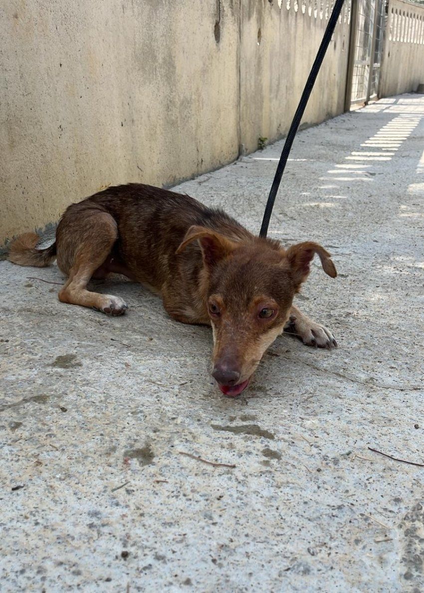 PHOTO 2025 08 25 12 57 25