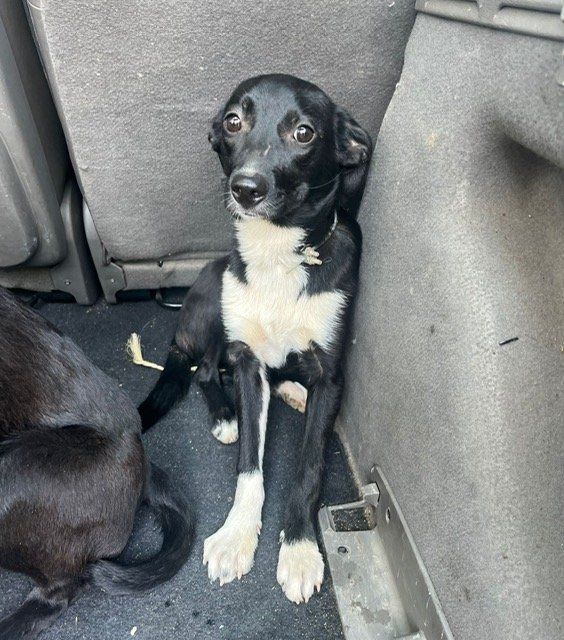 PHOTO 2024 08 08 12 32 02