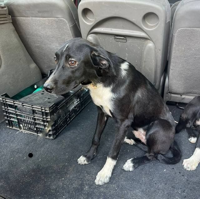 PHOTO 2024 08 08 12 31 16 (1) (1)