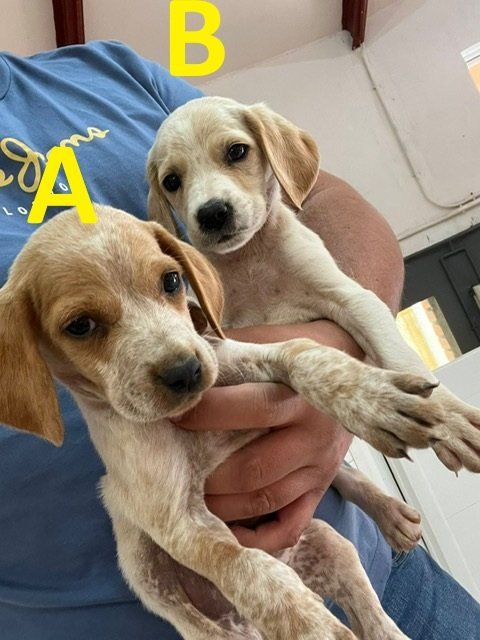 PHOTO 2025 09 29 13 33 06